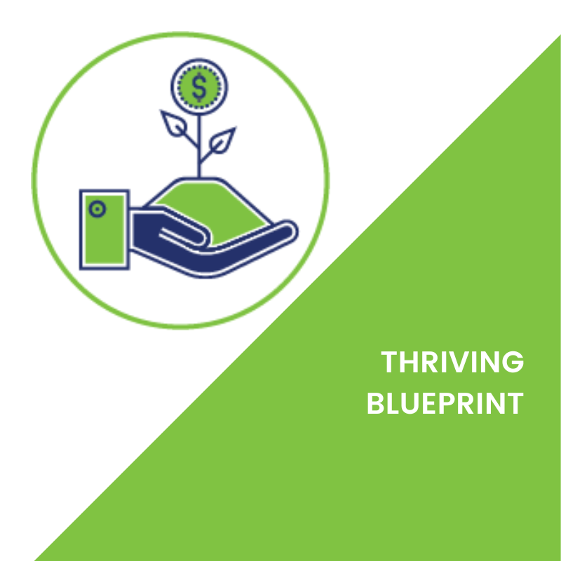 The Thriving Blueprint